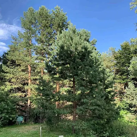 Ljilja Appartement Divčibare