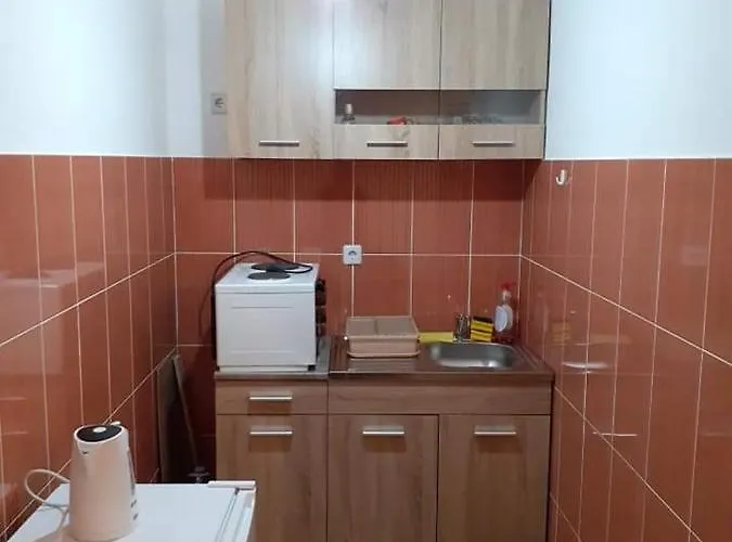 Appartement Ljilja *