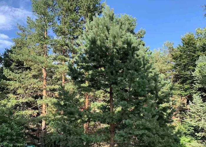 Ljilja Appartement Divčibare